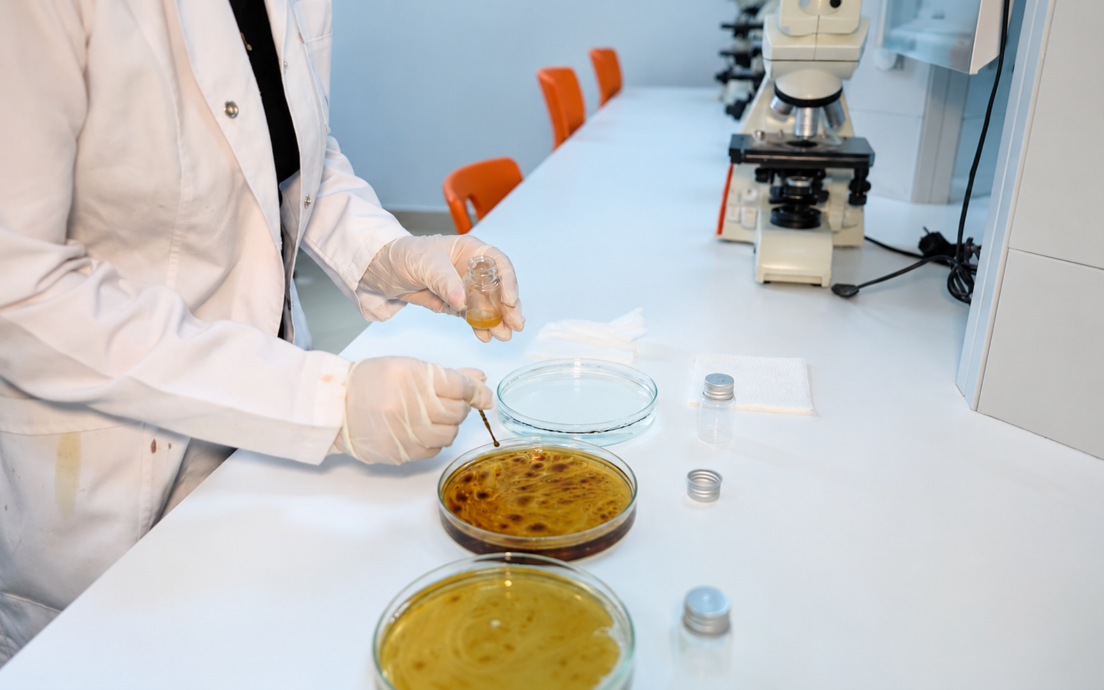 Alkagesta-backed Clean Caspian completes first oil spill research phase